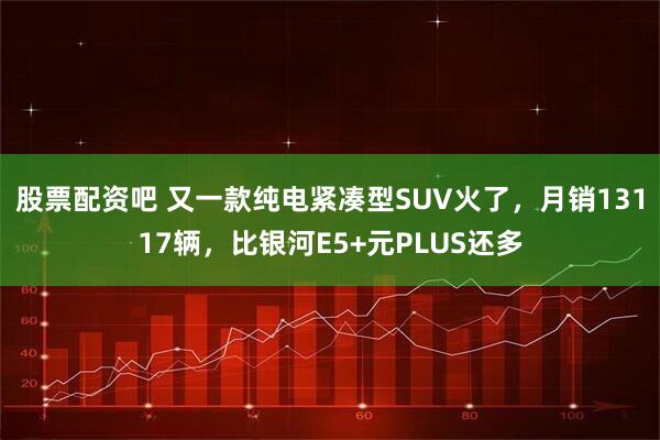 股票配资吧 又一款纯电紧凑型SUV火了，月销13117辆，比银河E5+元PLUS还多